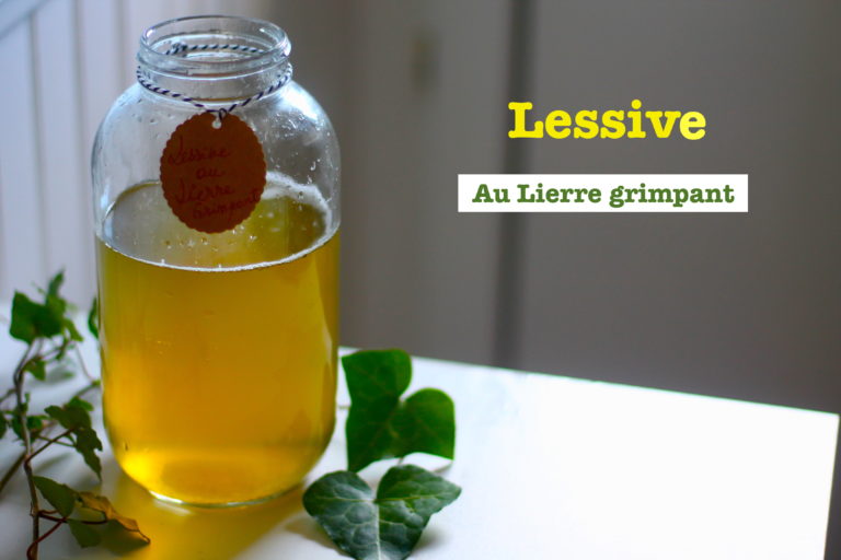 Lessive au lierre grimpant, écolo, économique et zéro déchet