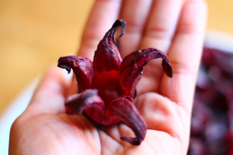 Infusion vinaigrée d’Hibiscus sabdariffa, un macérât de toute beauté