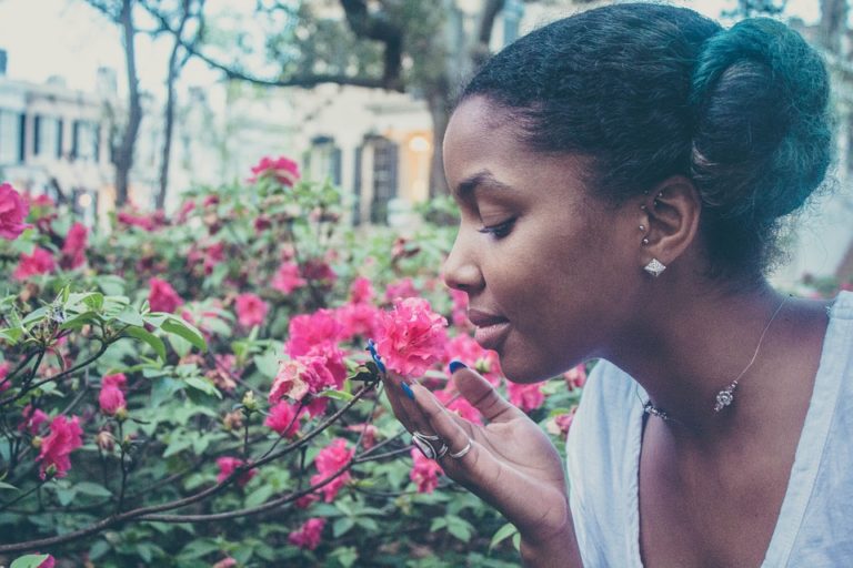 5 Plantes pour lutter contre la chute des cheveux