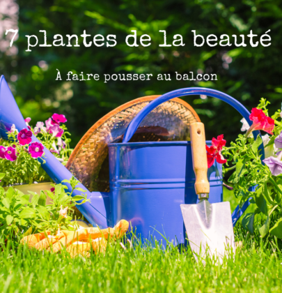 7 Plantes de la beauté à faire pousser au Balcon (ou ailleurs)