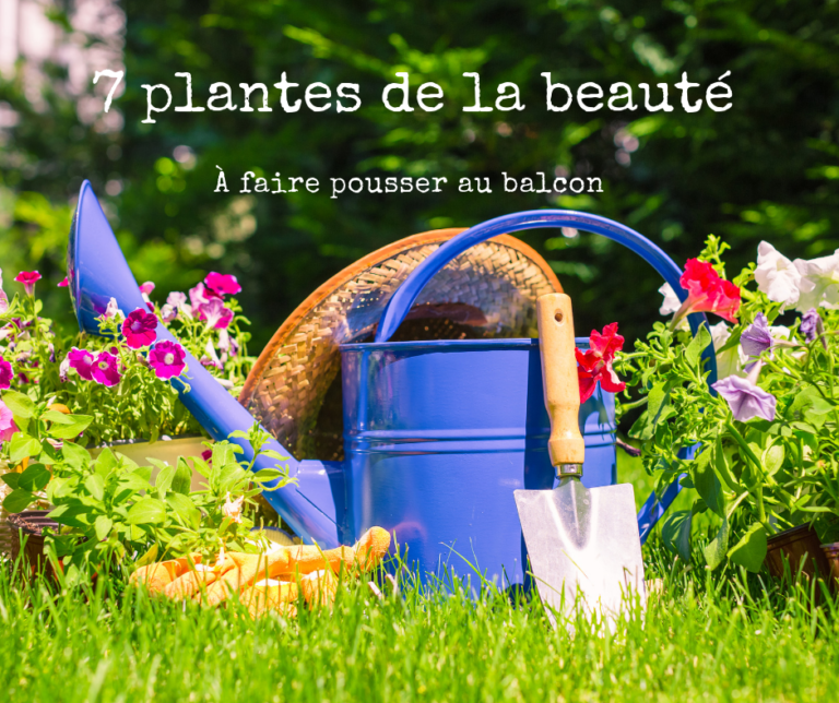 7 Plantes de la beauté à faire pousser au Balcon (ou ailleurs)