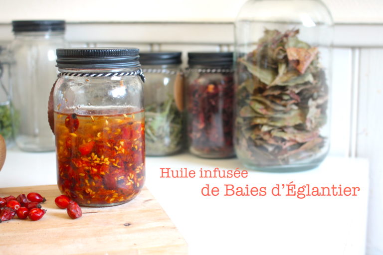 Huile infusée de Baies d’Églantier – RoseHips infused Oil