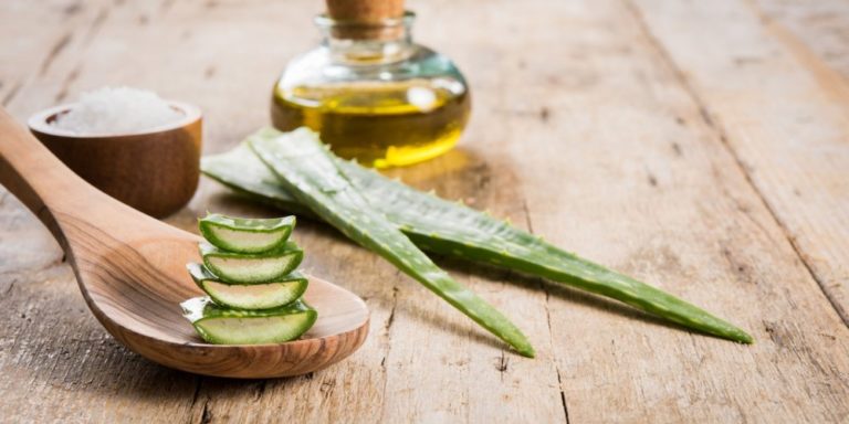 12 bonnes raisons d’utiliser l’Aloe vera au quotidien