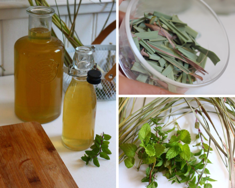 Comme une Limonade de Citronnelle et Menthe poivrée