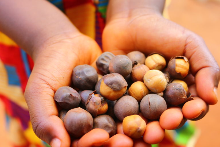 L’African Herbal Beauty Program, ou comment l’Afrique se réapproprie enfin ses trésors