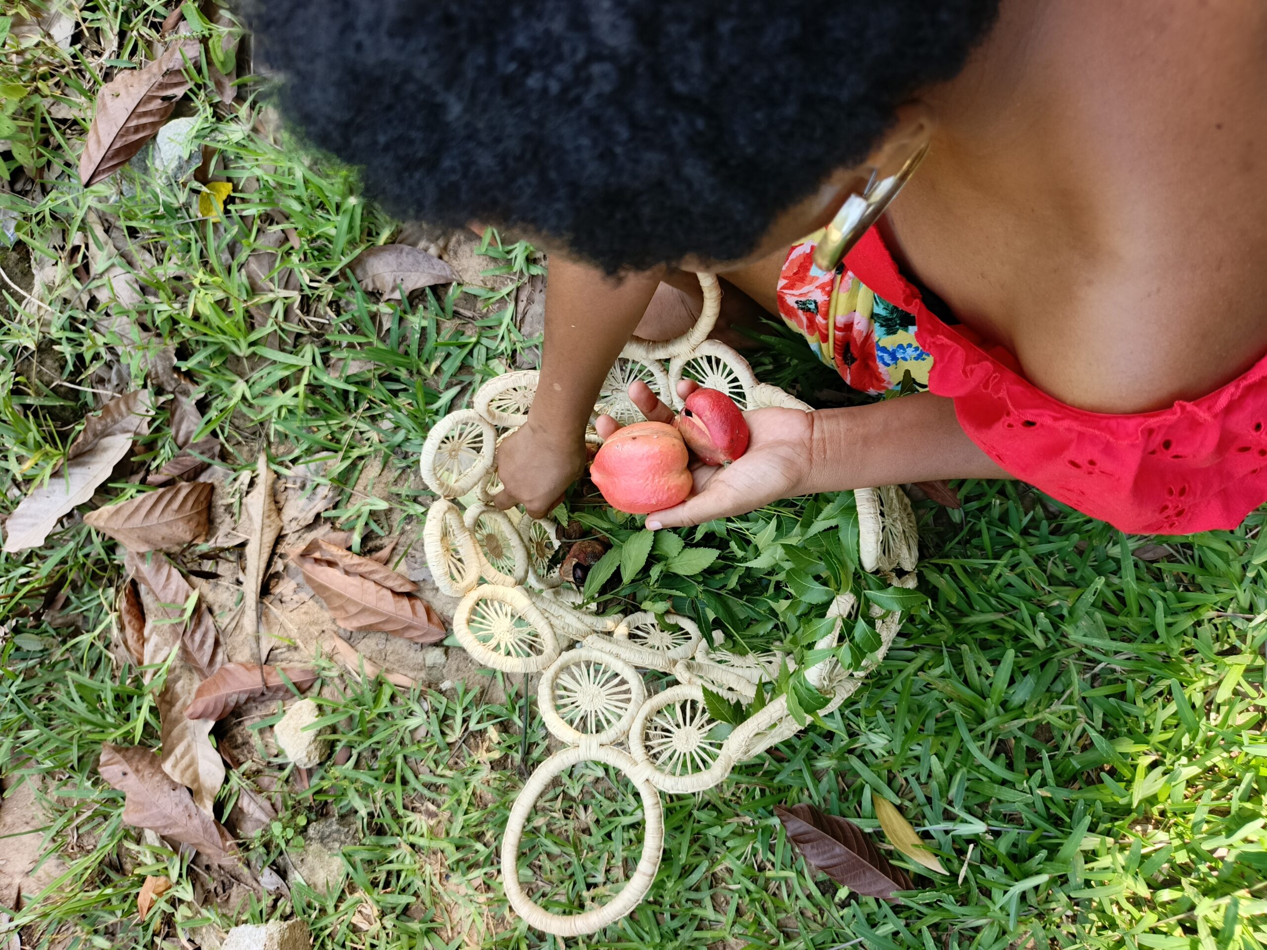 Ecole des plantes de la beauté Aki Scaled