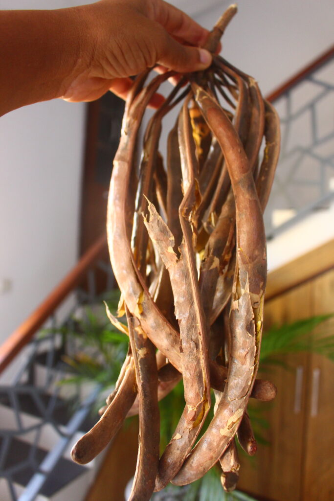 Nere Fruits 683x1024