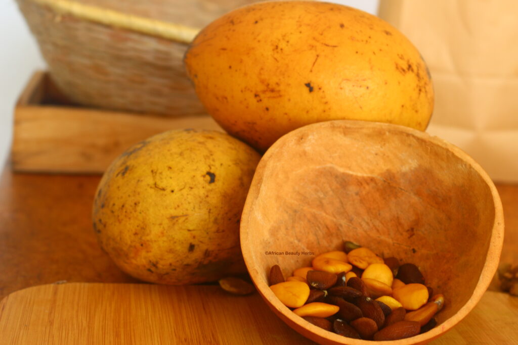 Akuamma Seeds 1024x683