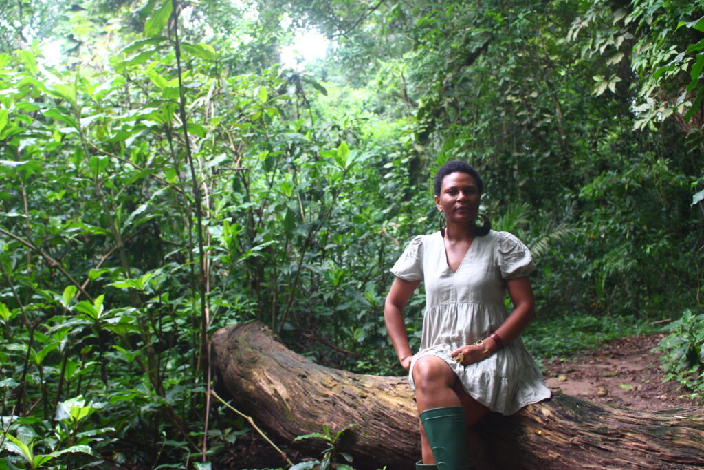 ABH Bibiche 1024x683