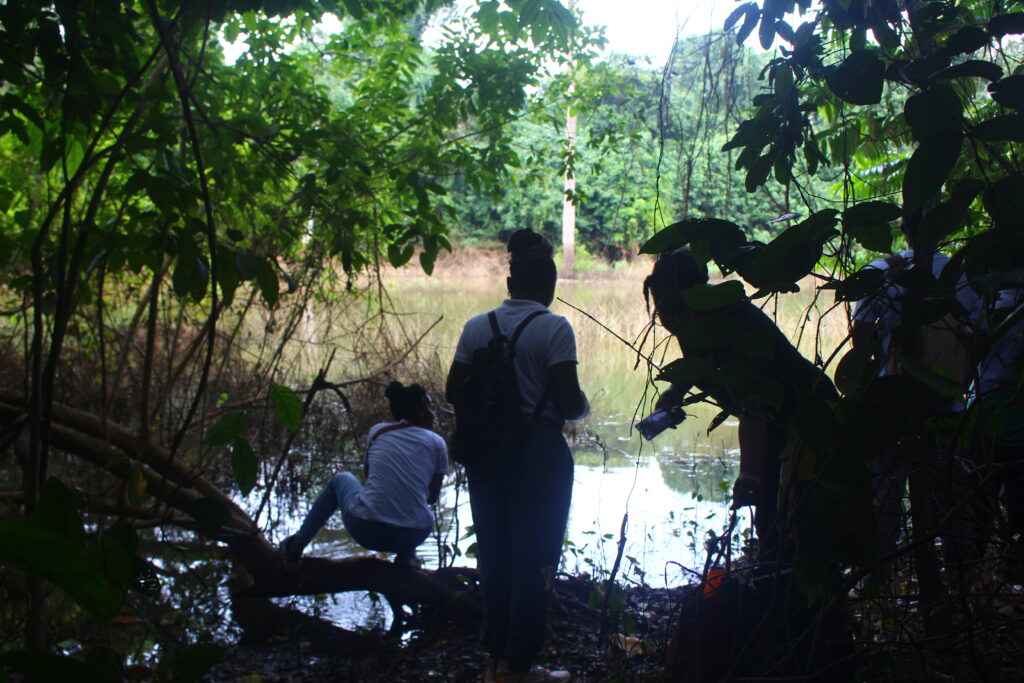 Balades botaniques BB Juillet 2025 1024x683