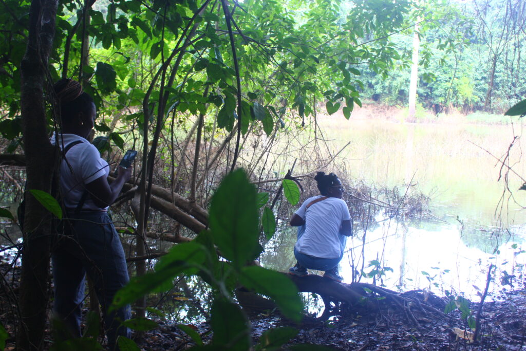 Balades botaniques Balade Botanique 1024x683