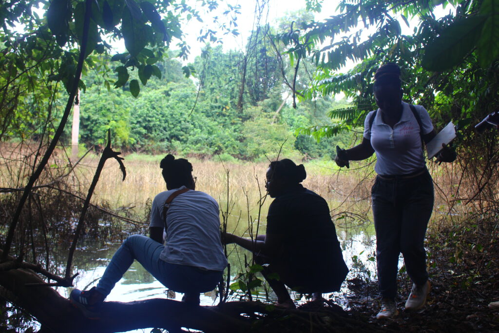 Balades botaniques Balade Botanique Juillet 2025 1024x683