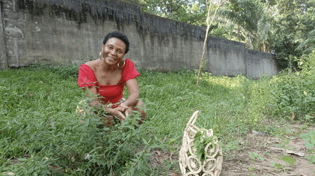 Bibiche ABH 1 1024x572