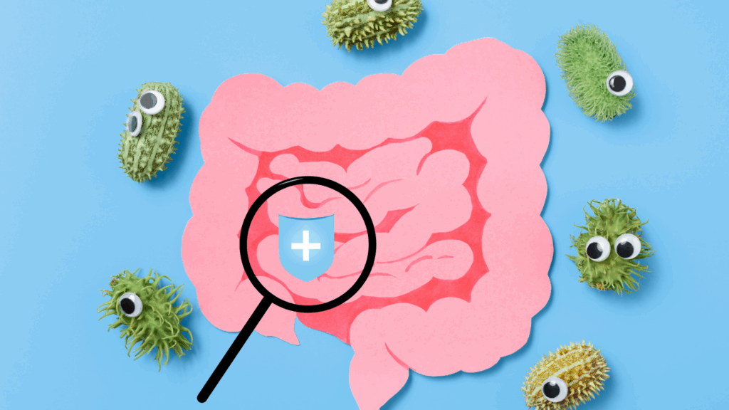 Sante Intestinale 1024x576