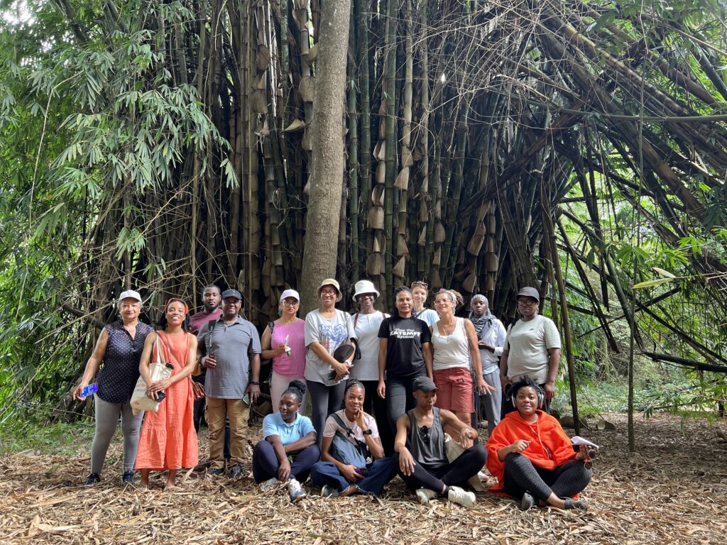 Balades botaniques balade botanique du 05 octobre abidjan