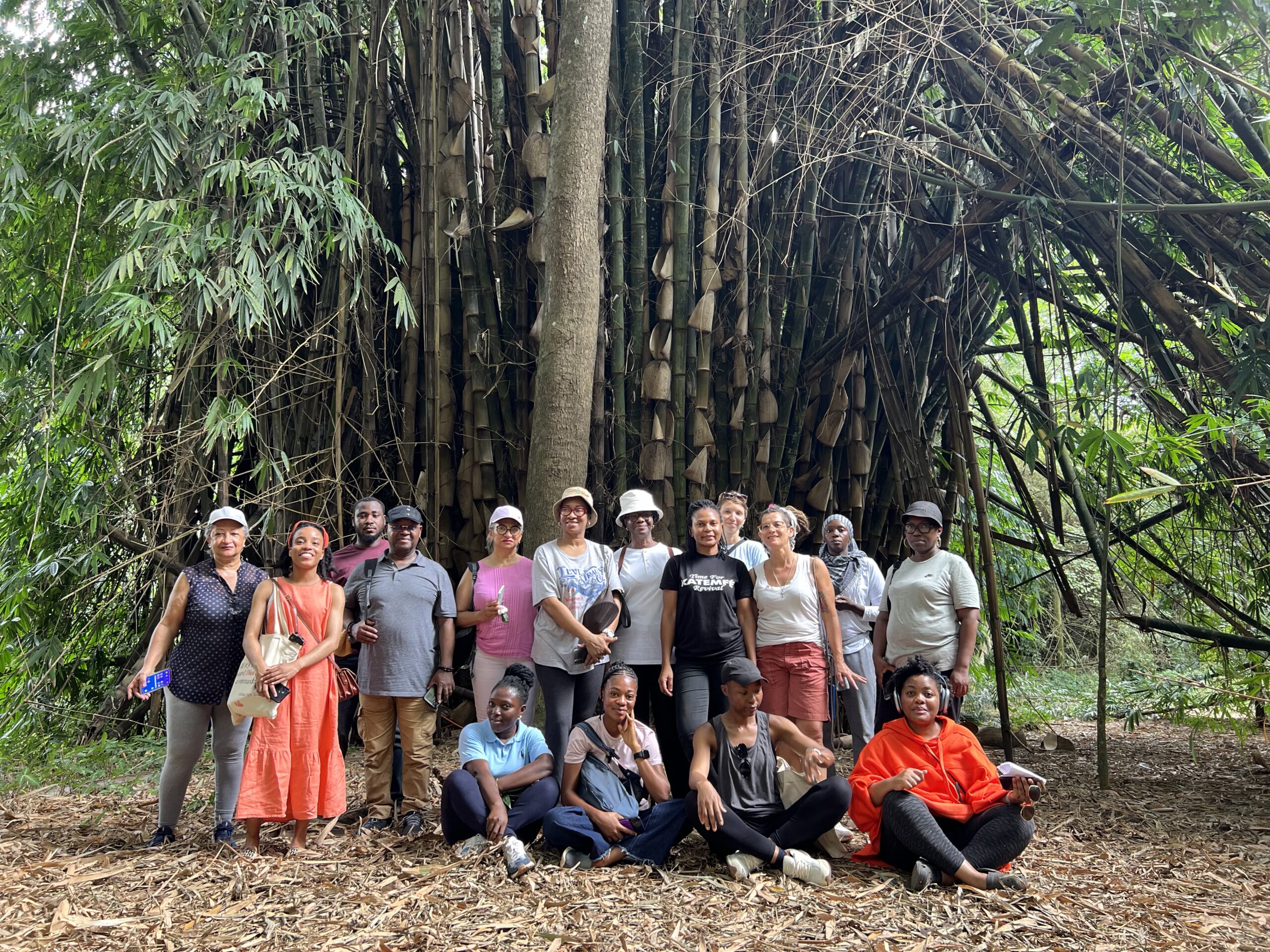 Entreprendre dans les plantes médicinales de la beauté balade botanique du 05 octobre abidjan