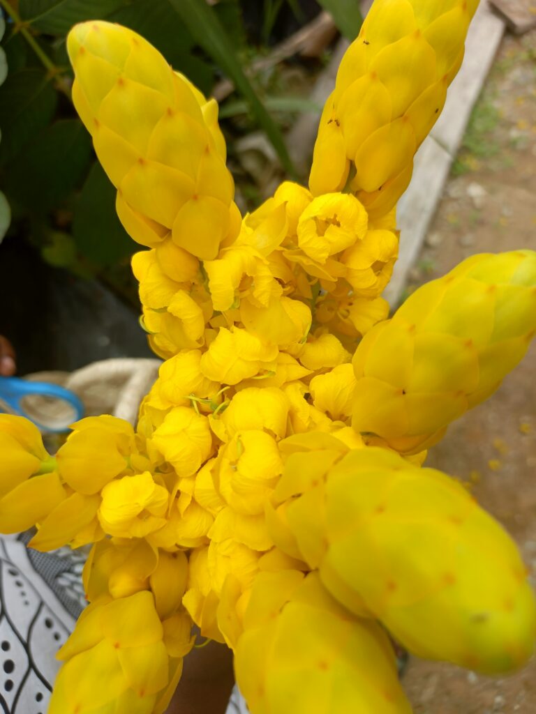 0 3048x4064 0 0 {} 0 24#