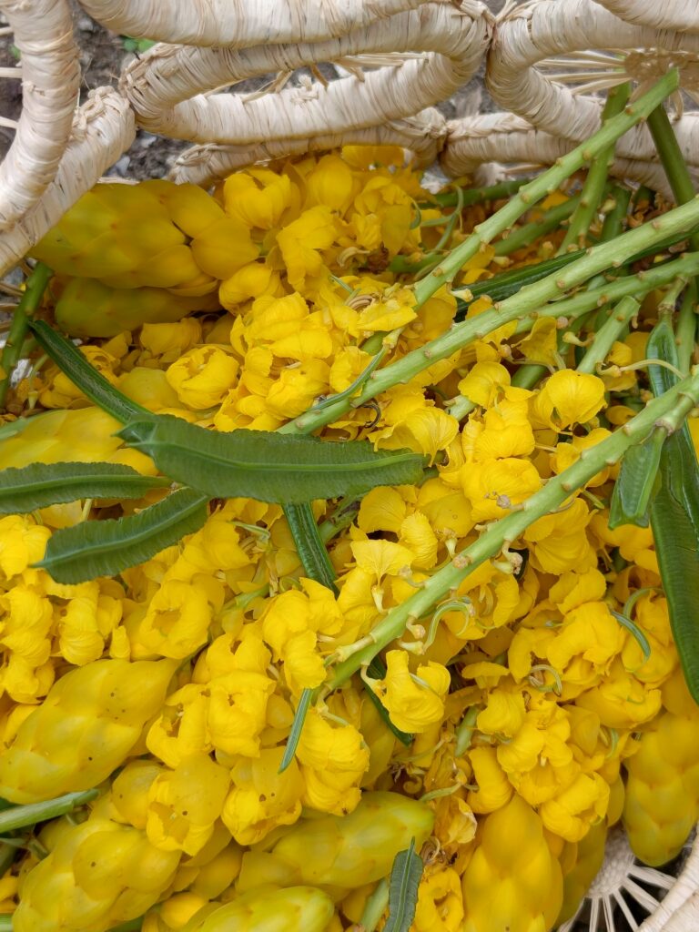 0 3048x4064 0 0 {} 0 24#