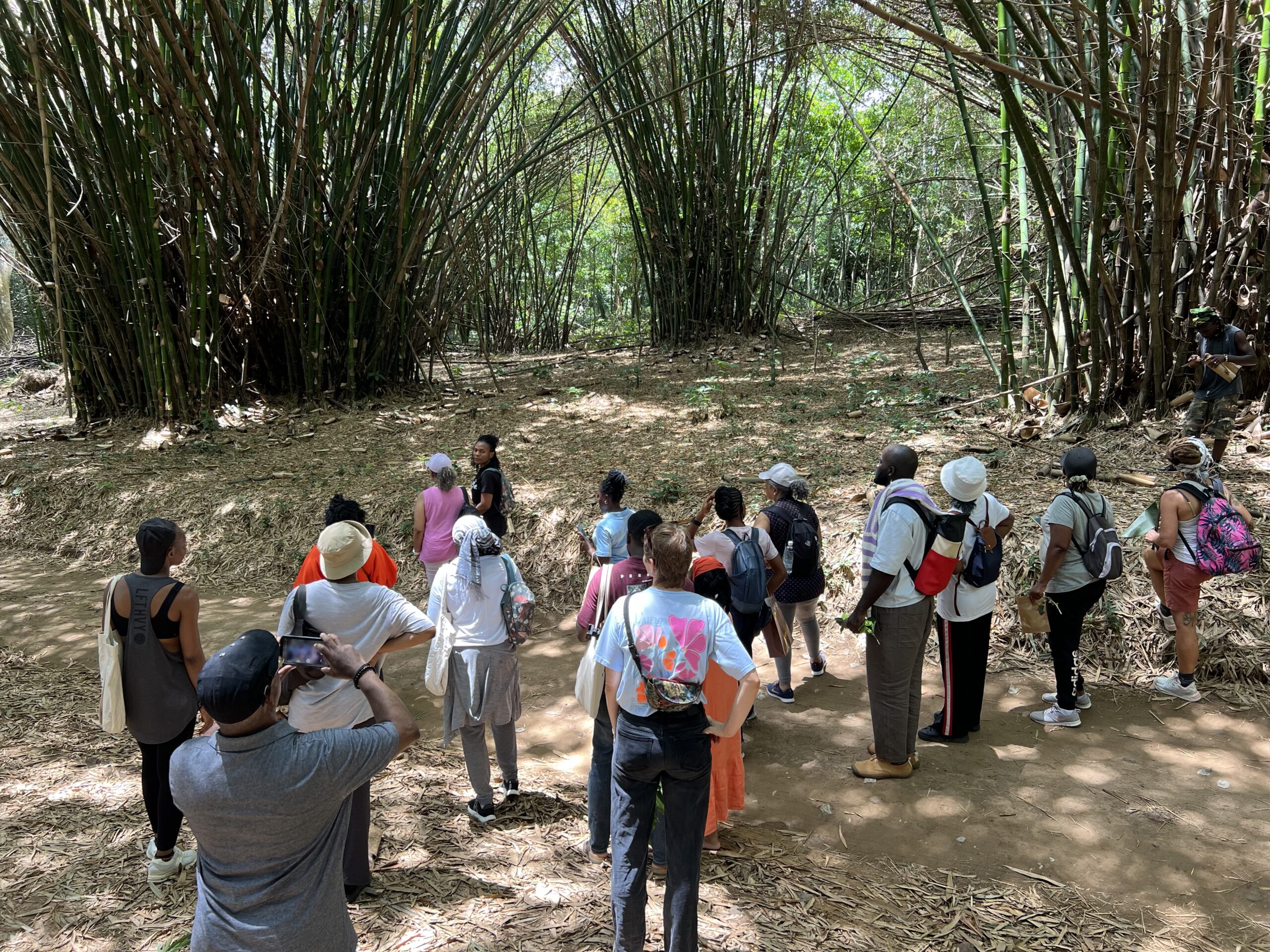 balade botanique abidjan