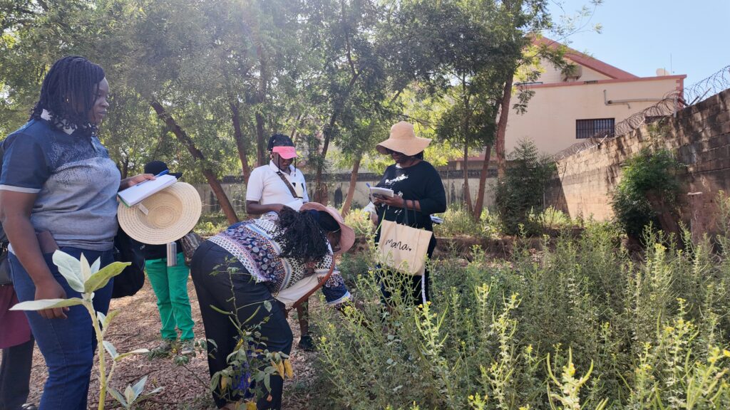 Balades botaniques default