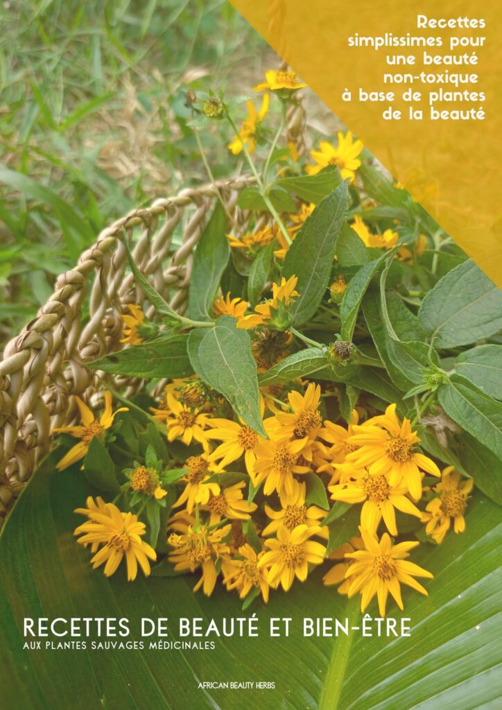 Accueil couverture recettes de beauté aux plantes sauvages abh (1)